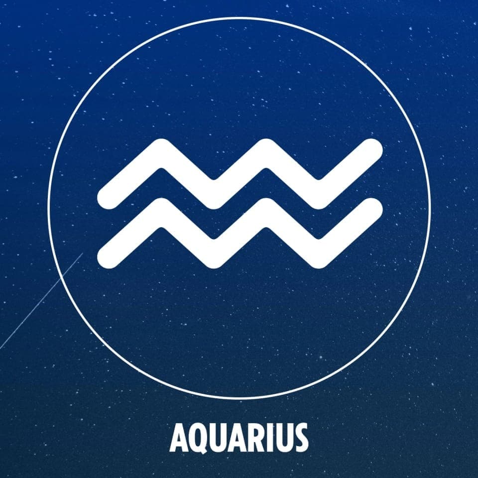 Sun Transit In Leo August 2021 Effects And Remedies For All Zodiac Signs