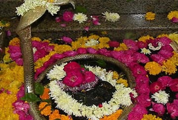 सावन के पूरे महीने ज़रूर कराएँ पंचामृत से शिव का सामूहिक महारूद्राभिषेक : ओम्कारेश्वर  - 25 जुलाई से 22 अगस्त