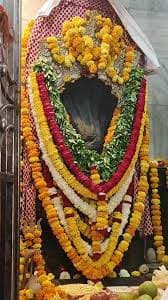 नाग पंचमी पर सर्प दोष निवारण पूजा, नाग वासुकी मंदिर, प्रयागराज