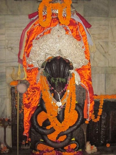 कुंडली बाधा निवारण पूजा, नाग वासुकी मंदिर, प्रयागराज