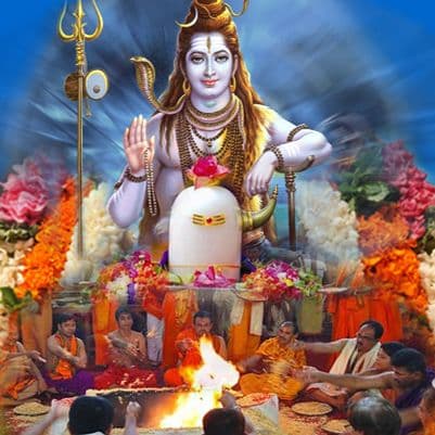 सावन माह पर सरसों के तेल का अभिषेक दिलाएगा कर्ज मुक्ति, शत्रु विनाश और मुकदमों में जीत