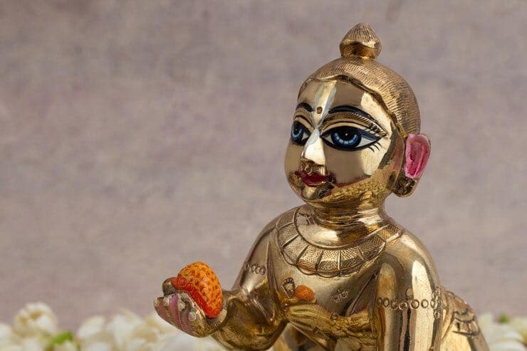 Janmashtami 2026: Perform These Remedies to Receive Blessings for Offspring and Overcome Financial Crisis