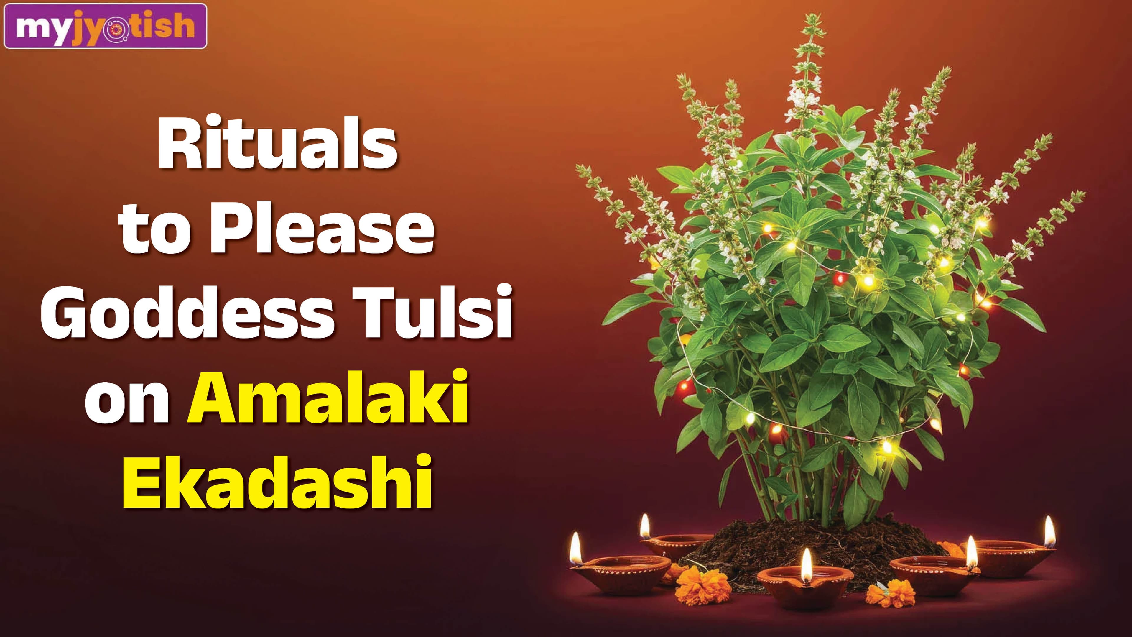 Amalaki Ekadashi 2026: Perform These Rituals On Amalaki Ekadashi For Wealth And Prosperity In Life