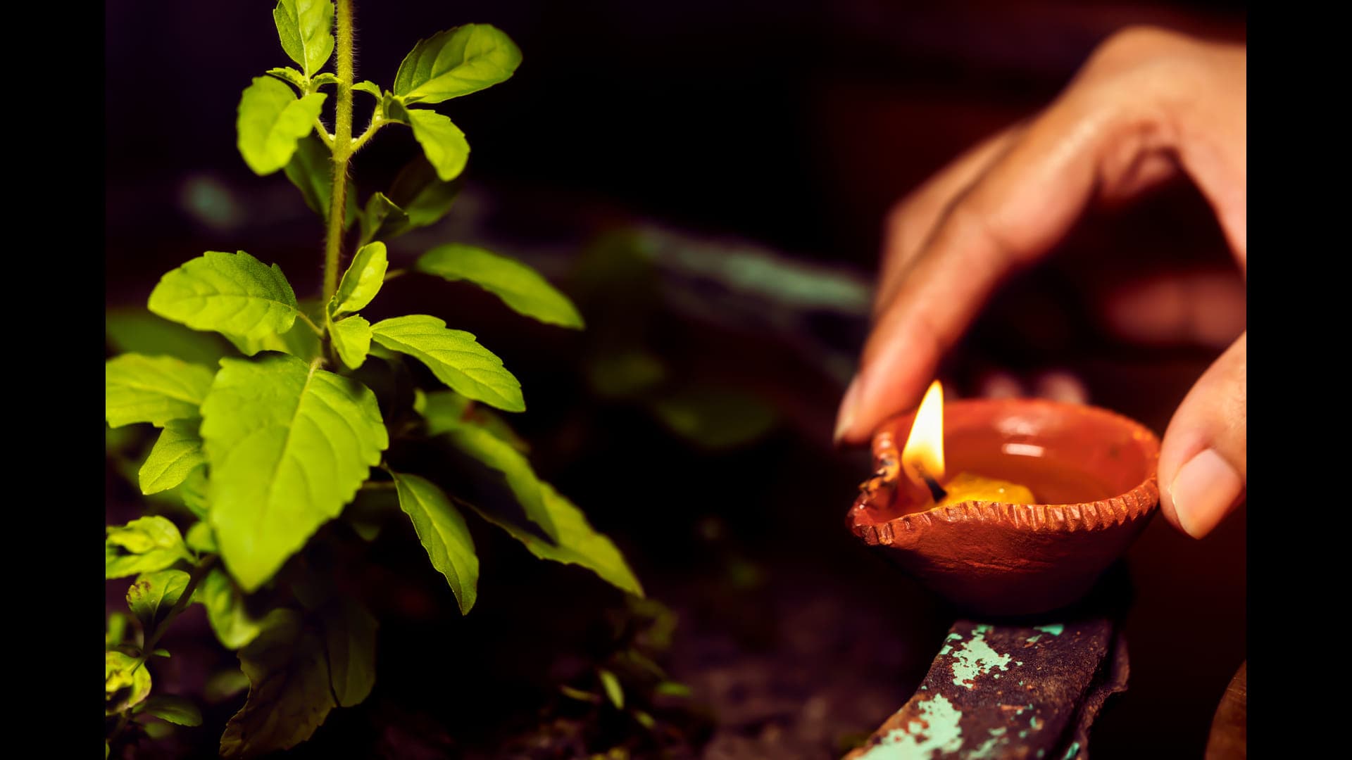 Varuthini Ekadashi 2026: एकादशी पर जरूर करें माता तुलसी के करें ये उपाय, बनेगा हर अटका काम