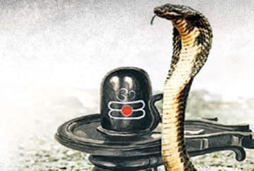 नागपंचमी पर कराएं काल सर्प दोष पूजा - नागवासुकि मंदिर, प्रयागराज - 25-जुलाई-2020