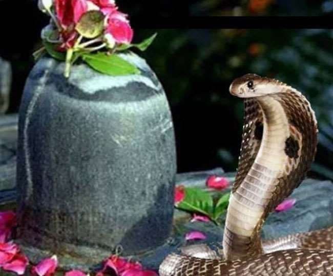 नाग पंचमी : काल सर्प दोष दूर करने का उत्तम दिन, घर बैठे कराएं पूजा नागवासुकि मंदिर, प्रयागराज - 13 अगस्त 2021